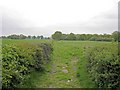 path at Brookhouse Moss