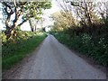 Lane to Great Trewirgie