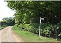 Boughton End Lane near A507 junction