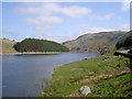 NY4711 : The Rigg - Haweswater by Ian Greig
