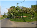 Cherry Tree Farm entrance