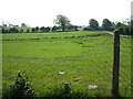 Cady Townland