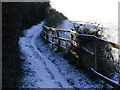 Path to the west side of Fort Purbrook