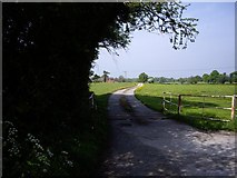 SJ6849 : Farm Road to Yew Tree Farm by Ian Bottomley
