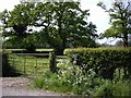 Start of Footpath to Stapeley Hall on Annions Lane