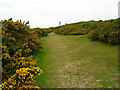 Coastguard Lookout, Fire Hills