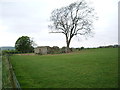 Ruin (Barn)