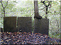 Tree on Flagstone wall.