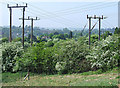 Power Poles and May Hedge, Danesford, Shropshire