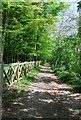 Track alongside Charisworth Farm