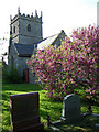 Church of St Mary Magdalene - Sparkford