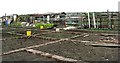 Allotments - Burnsall Street