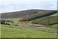 NJ2551 : Glen of Rothes by Anne Burgess