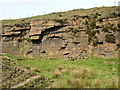 Disused Quarry, Pinfold