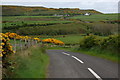 Lane at Coolmaghra near Ballycastle