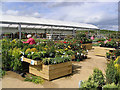 Milestone Garden Centre at Newtown St Boswells