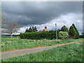 Cottage hidden behind a large hedge.