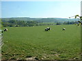 Farmland in the valley of The Mule