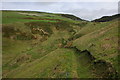 Valley below Gernos, Pembrokeshire Coast