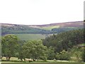 Looking east from the Dales Way to the Aqueduct above How Beck