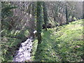 Wooded valley at Furley