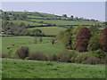 View near Cholwell Park