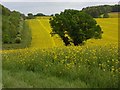 Farmland, Apsley