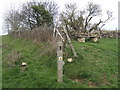 Cotswold Way and the Warden