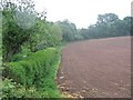 Farmland near Kilmington