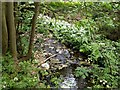 A lane side beck.