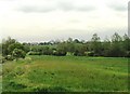 View from Essex Way footpath, near Great Waltham