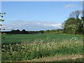 Field next to "The Gables"