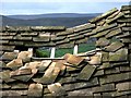 NZ0003 : Dilapidated Barn Roof on Windegg Lane. by Steve Partridge