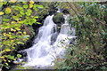 NS5457 : Waterfall  Rouken Glen Park. by John McLeish