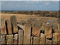 NO6012 : Walls at Cambo Sands by Callum Black