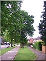 Urban Oaks - Cell Barnes Road