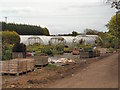 Polytunnels at Greatfield Plants