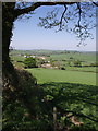 View from the lane from Liddaton Down