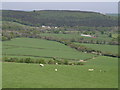 View northwest of Liddaton Down