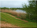 Fisherwick Lakes