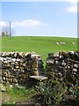 Stile next to the Pennine Way