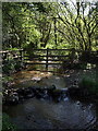 Stream below Billacombe