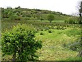 Lurganboy Townland