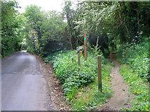 TM3388 : Junction of footpath with St Margaret's Road, Bungay by Sara Coward