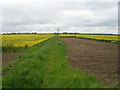 Arable farmland between Mill Lane and the A66