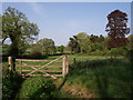 Field at Lewtrenchard