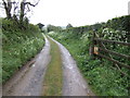 Track to Halvose Farm