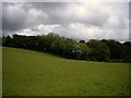 View from footpath towards Elmer Ridding