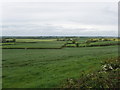 Fields running down from Meadway, Oving