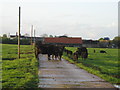 Briarhill Farm off West Street, Steeple Claydon